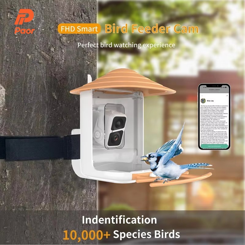 Bird Feeder Camera Wifi Smart Ai - 2L IP66 AI Smart Bird Feeder