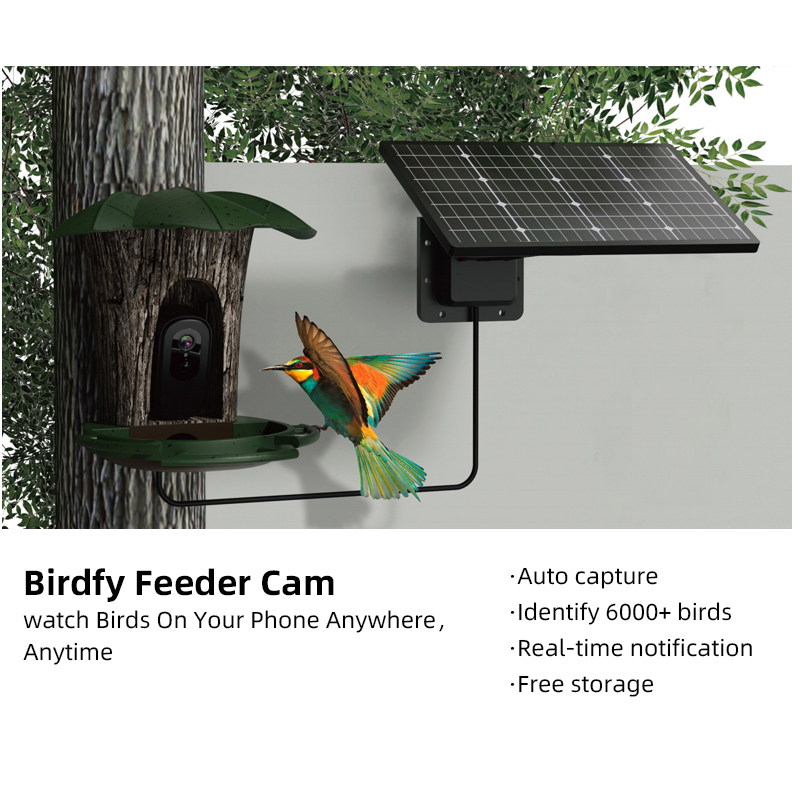 Bird Feeder Camera Wifi Smart Ai - RS1 Bird Identification Camera Waterproof 2MP