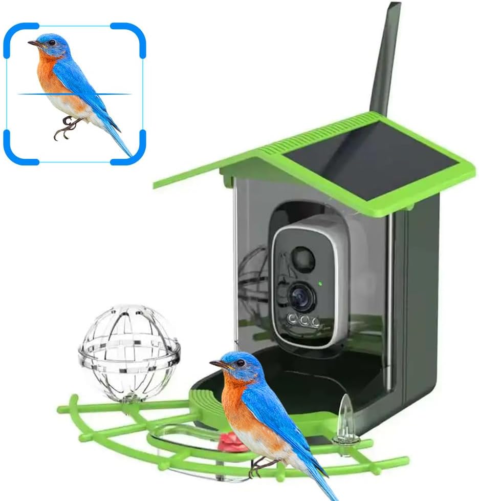 Bird Feeder Camera Wifi Smart Ai - Real Time Bird watching WIFI APP