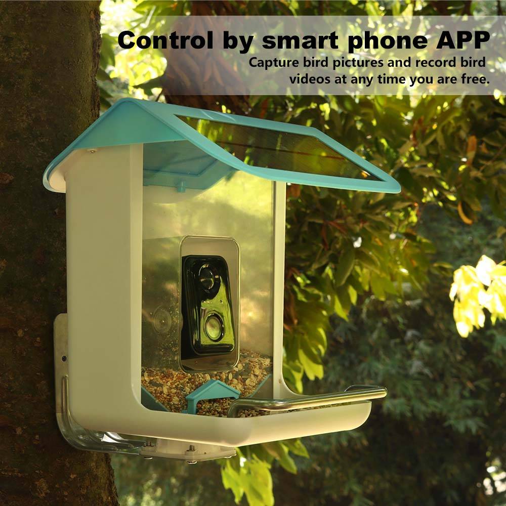 Outdoor Wildlife Wifi Camera C - Bird Feeder Camera Wifi Smart Ai recension och pris