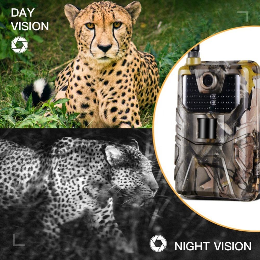SuntekCam HC-900LTE 4G Trail C - Trail Camera 4K 48Mp Cellular 4G recension och pris