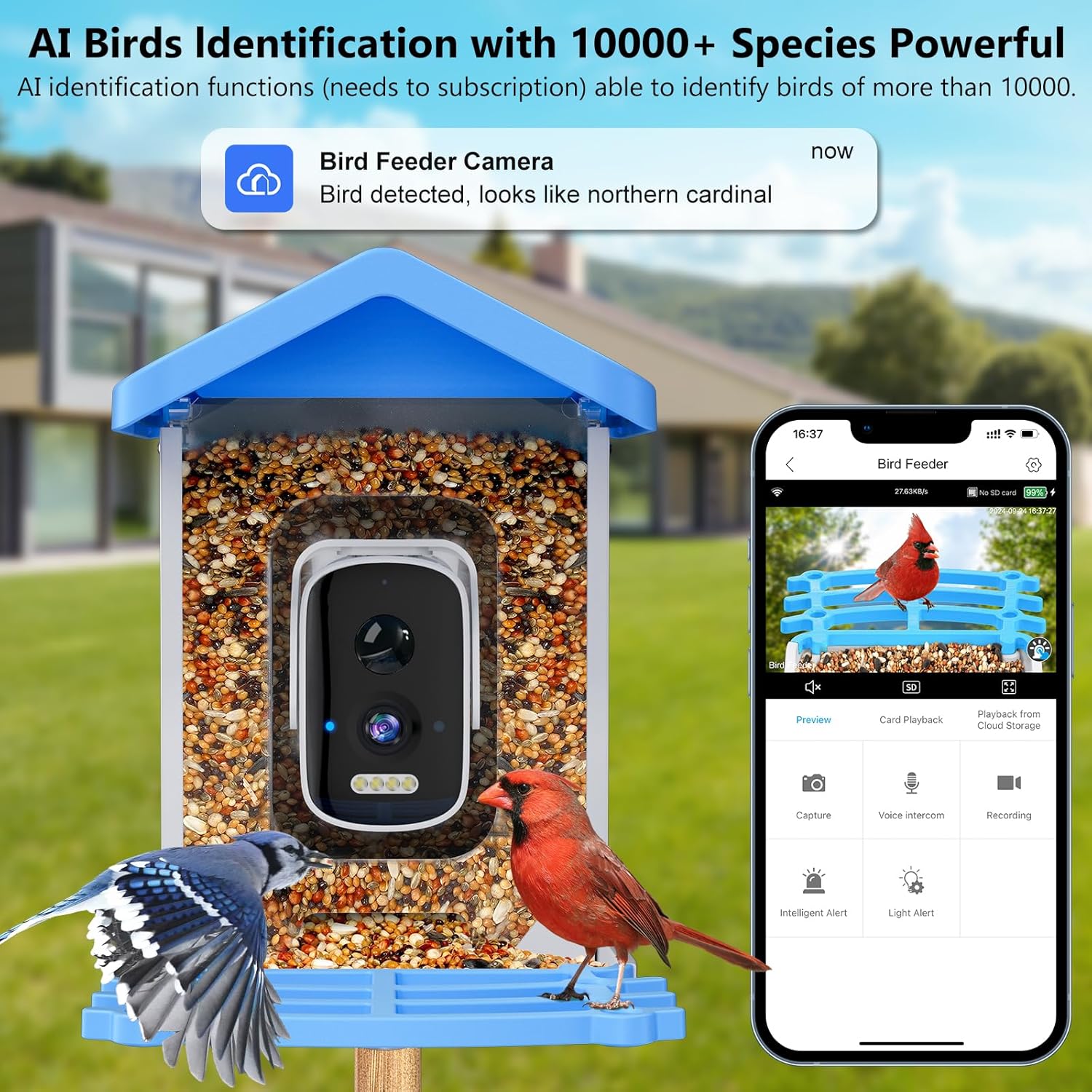 Smart Bird Feeder with Camera  - Bird Feeder Camera Wifi Smart Ai recension och pris