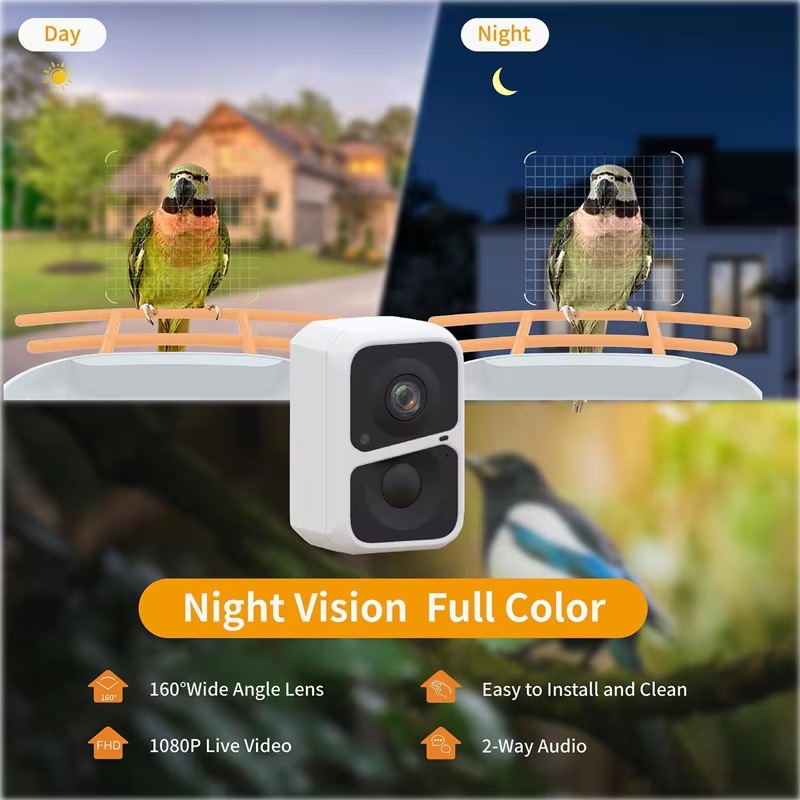2L IP66 AI Smart Bird Feeder W - Bird Feeder Camera Wifi Smart Ai recension och pris