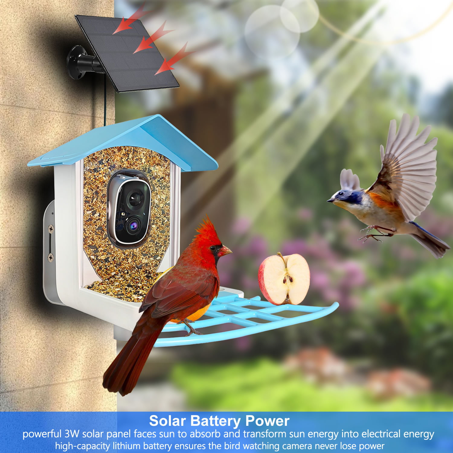 New Outdoor Wireless Smart AI  - Bird Feeder Camera Wifi Smart Ai recension och pris