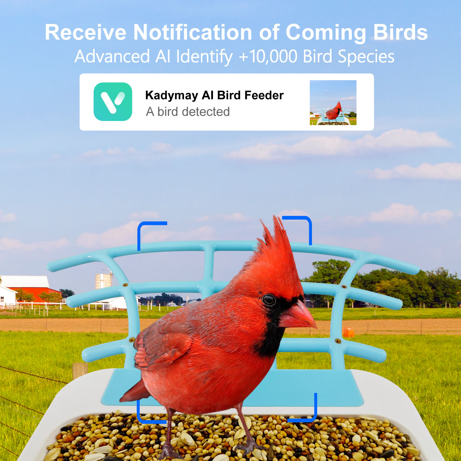 New Outdoor Wireless Smart AI  - Bird Feeder Camera Wifi Smart Ai recension och pris