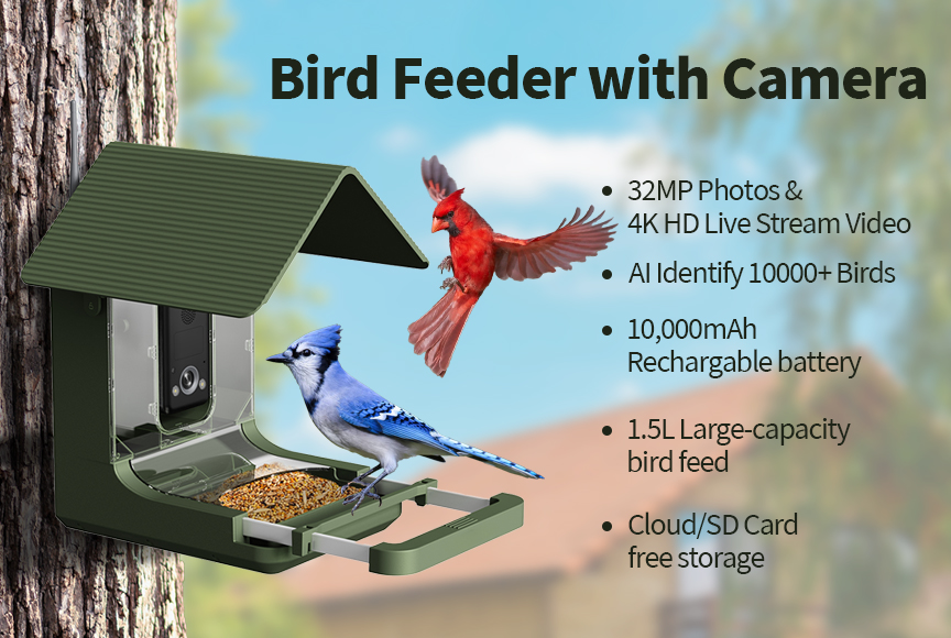 OEM Custom Waterproof 4K AI Sm - Bird Feeder Camera Wifi Smart Ai recension och pris