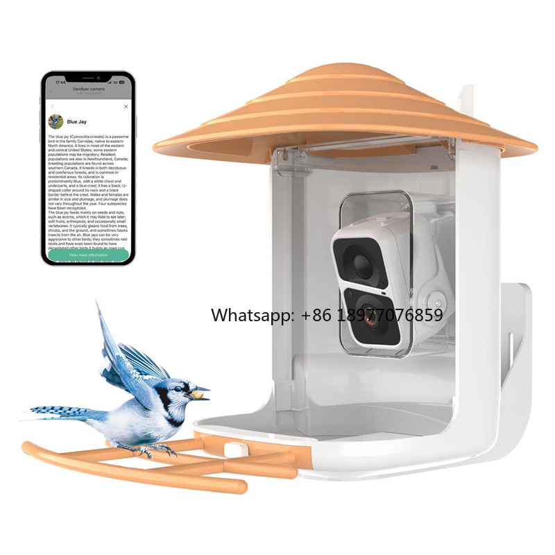 2026 2L IP66 AI Smart Bird Fee - Bird Feeder Camera Wifi Smart Ai recension och pris