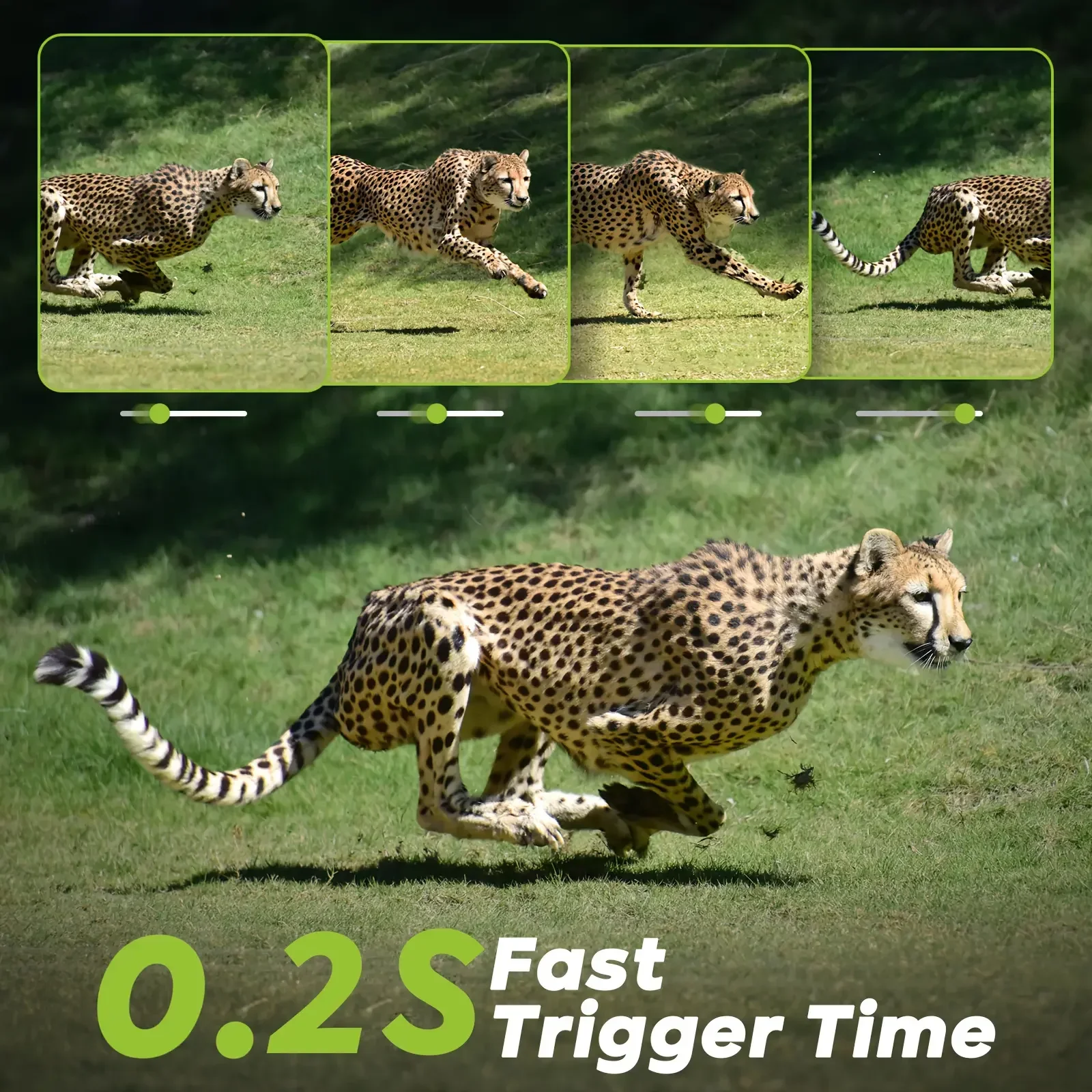 4G LTE Cellular Trail Camera 8 - Hunting Game Camera Night Vision No Glow recension och pris