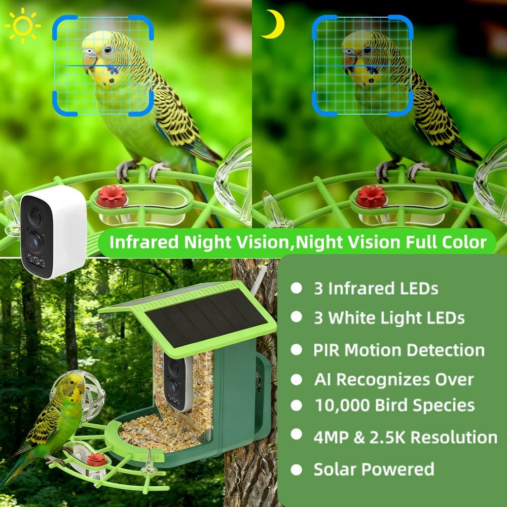 Real Time Bird watching WIFI A - Bird Feeder Camera Wifi Smart Ai recension och pris