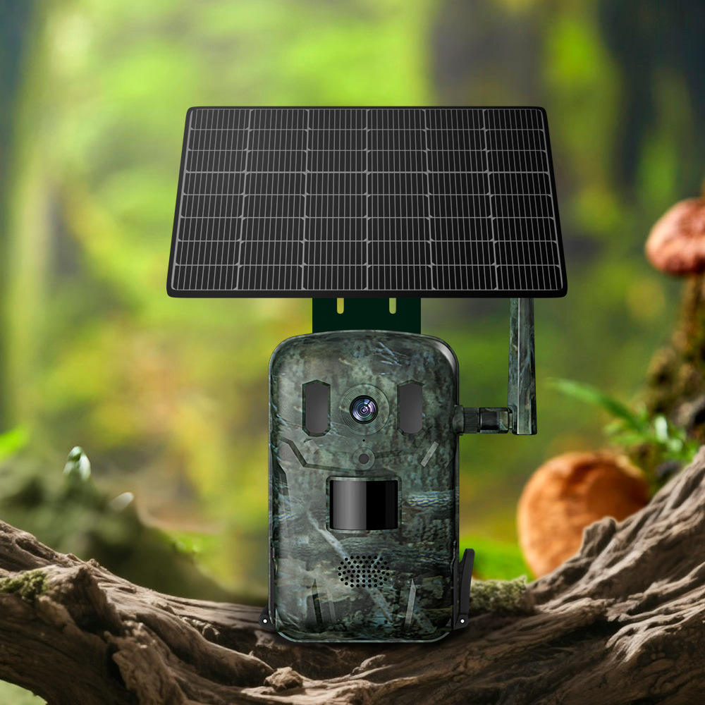 4G LTE Cellular Trail Camera 2 - Cellular Trail Camera Live Stream recension och pris