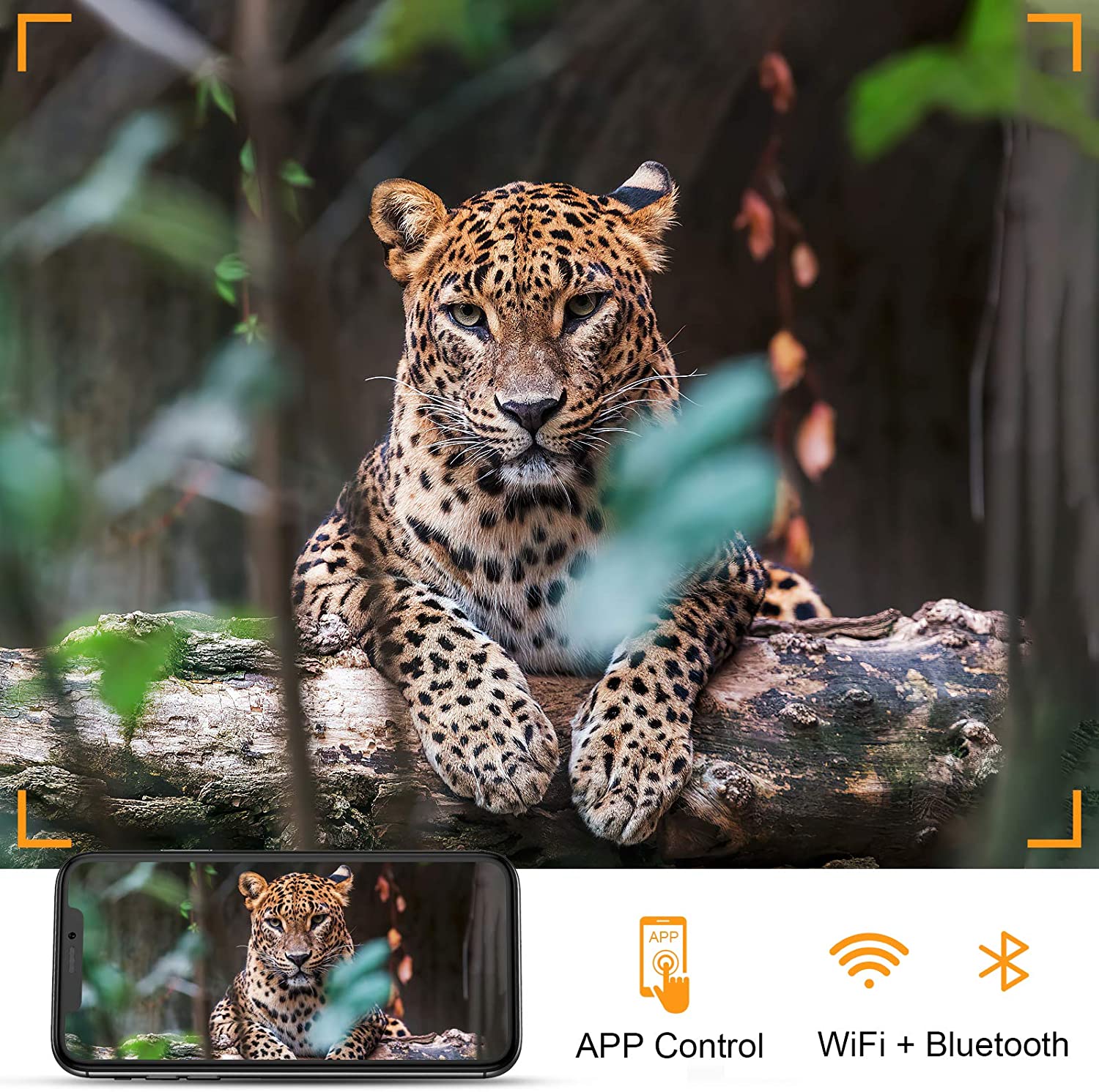 4K WIFI Hunting Camera Live St - Trail Camera Wifi Bluetooth App Control recension och pris