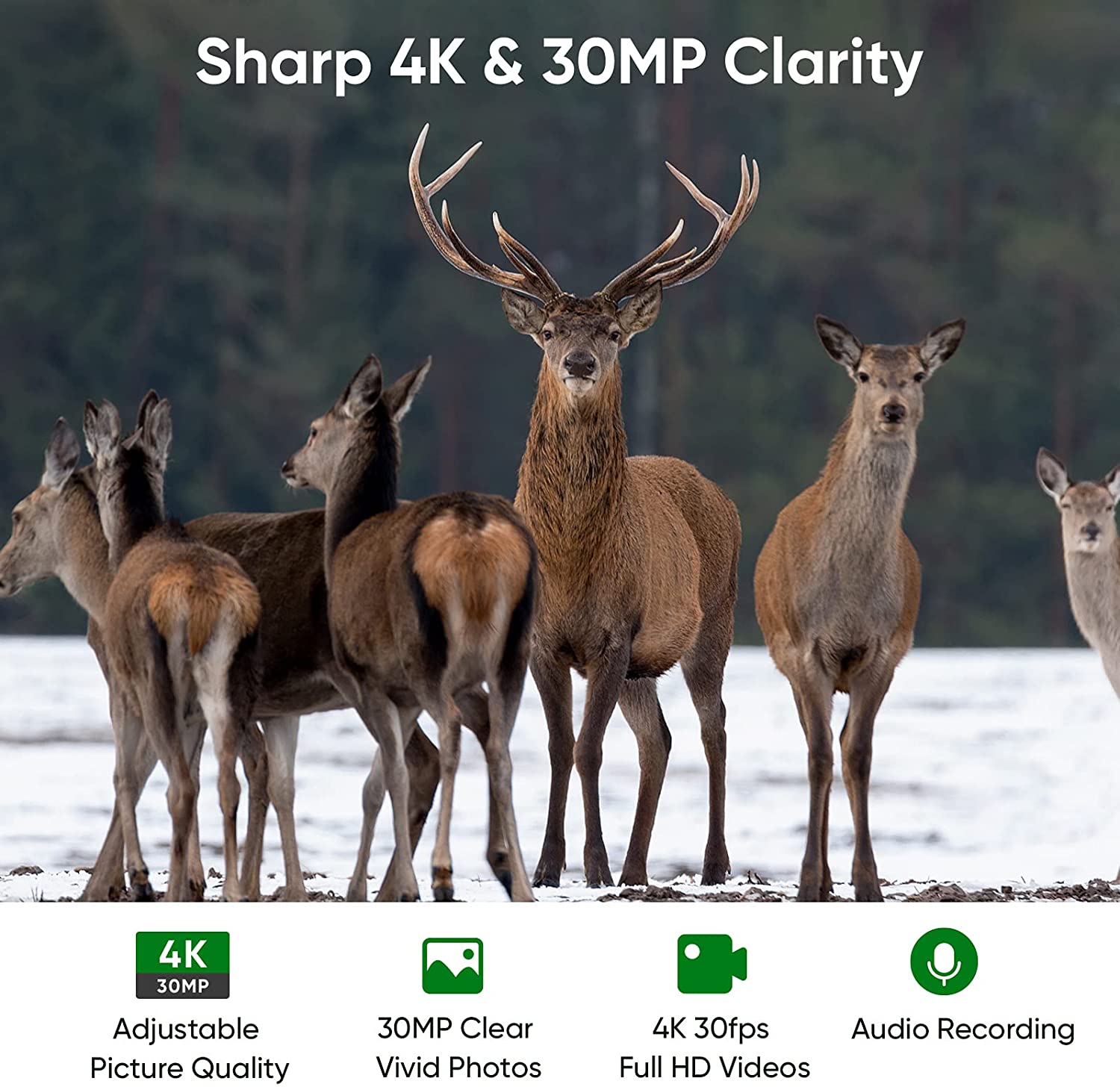 4K WIFI Hunting Camera Live St - Trail Camera Wifi Bluetooth App Control recension och pris