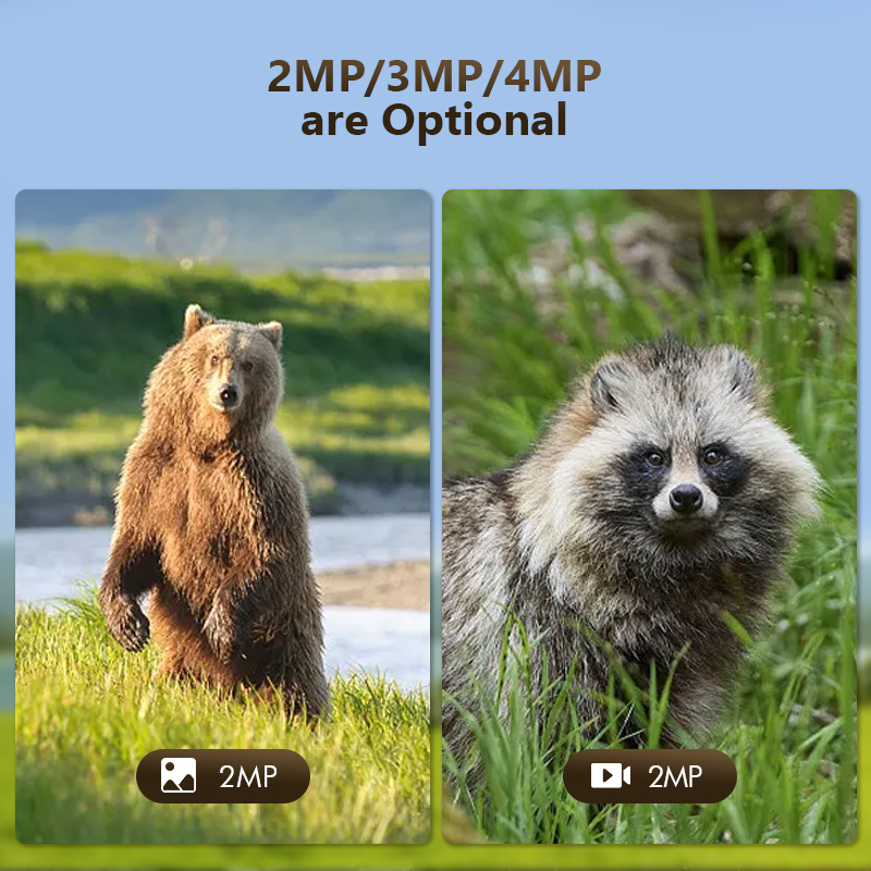 4G 4MP Outdoor Wildlife Huntin - Trail Camera Solar Panel Powered recension och pris