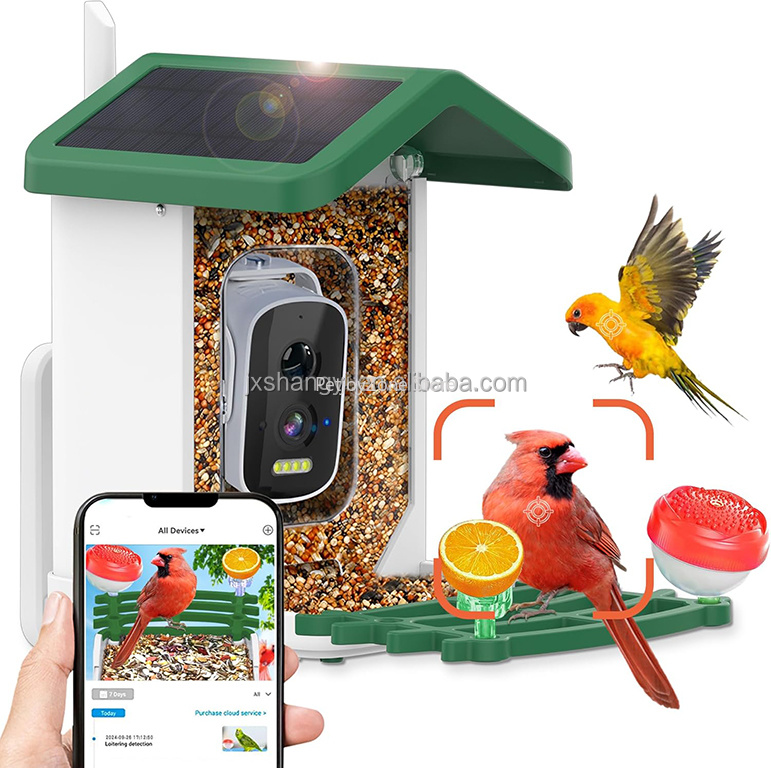 OEM Auto Identifier Live View  - Bird Feeder Camera Wifi Smart Ai recension och pris