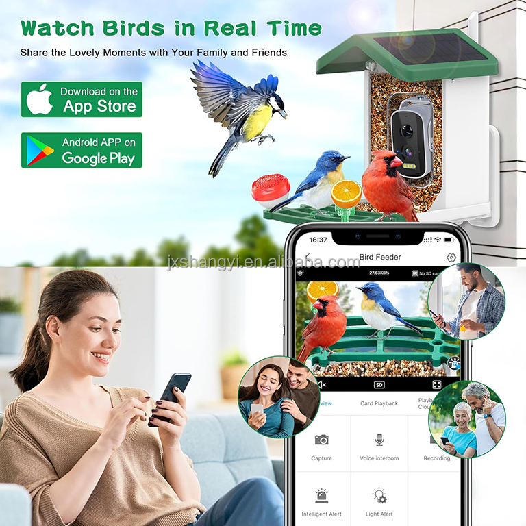OEM Auto Identifier Live View  - Bird Feeder Camera Wifi Smart Ai recension och pris