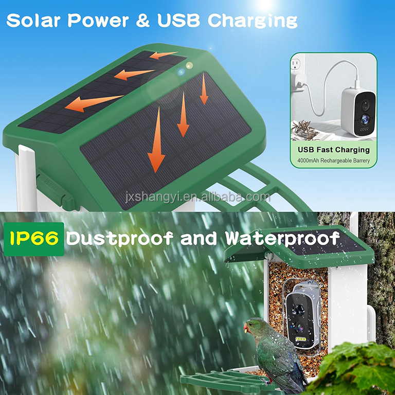OEM Auto Identifier Live View  - Bird Feeder Camera Wifi Smart Ai recension och pris