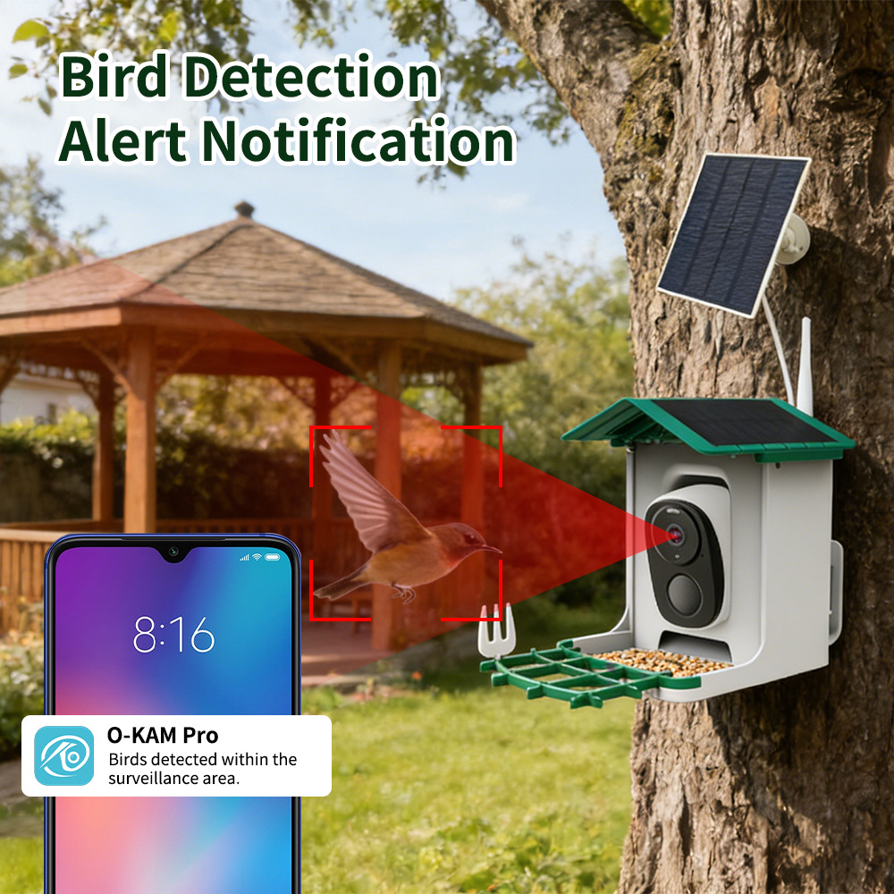 Smart Bird Feeder, Solar HD Co - Bird Feeder Camera Wifi Smart Ai recension och pris
