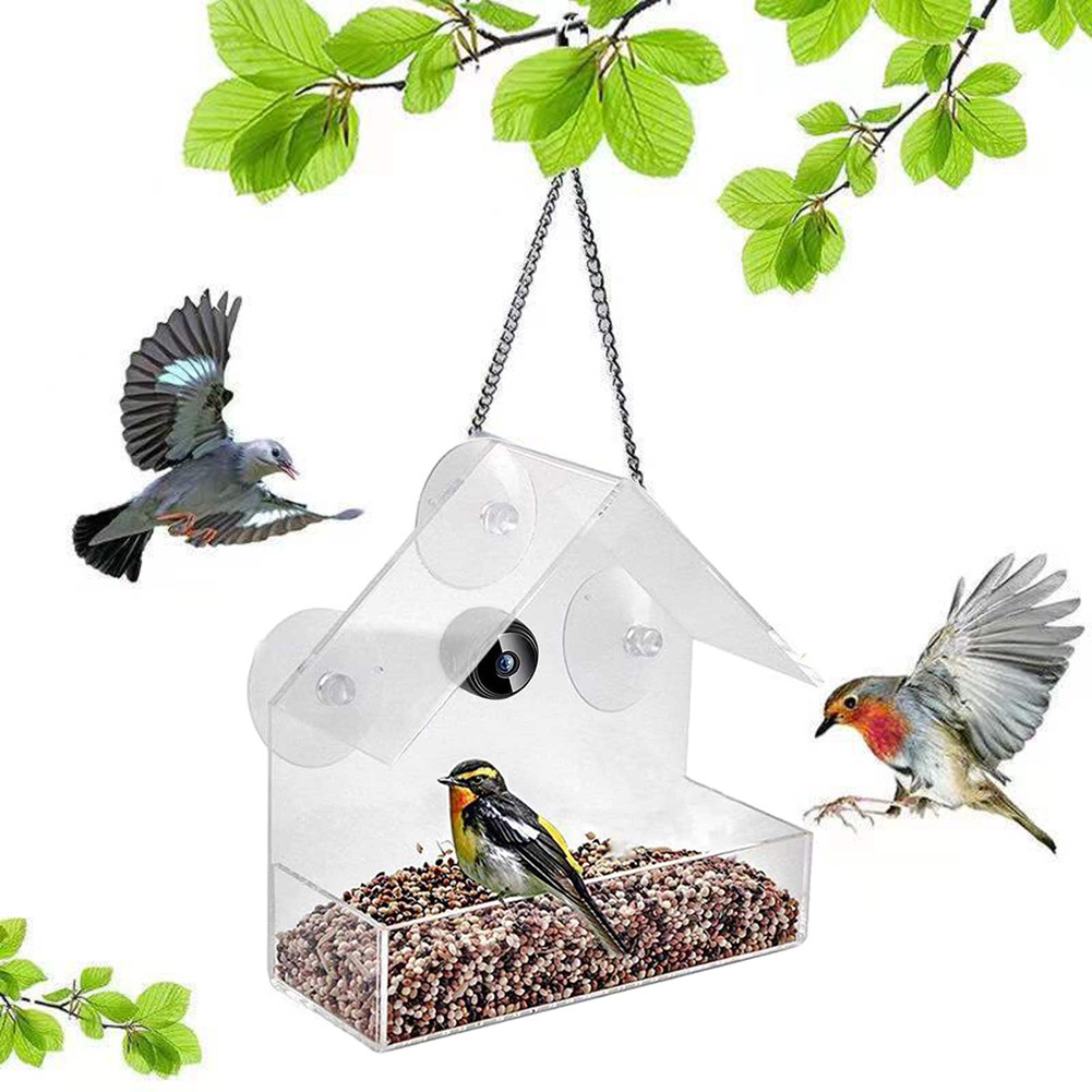 Smart Bird Feeder & Camera Out - Bird Feeder Camera Wifi Smart Ai recension och pris