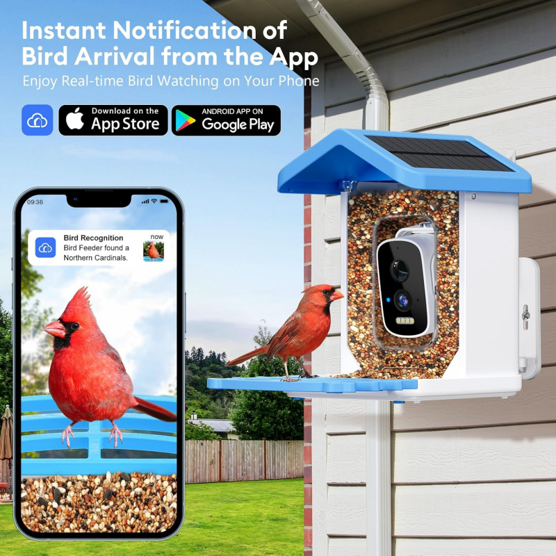 WiFi Smart Bird Feeder with Ca - Bird Feeder Camera Wifi Smart Ai recension och pris