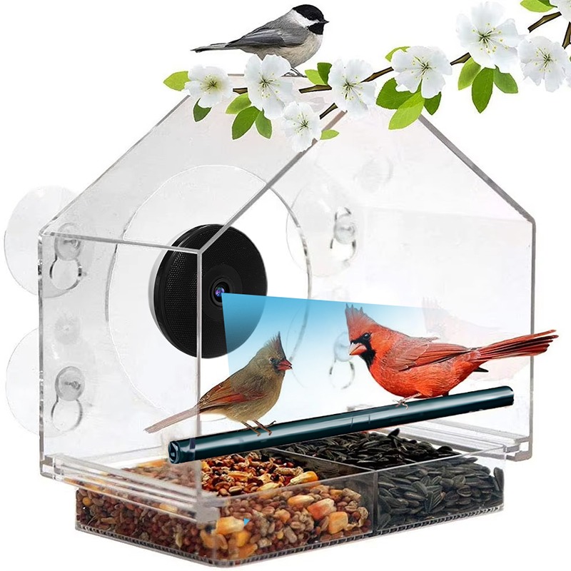AI Bird Recognition Smart Bird - Bird Feeder Camera Wifi Smart Ai recension och pris