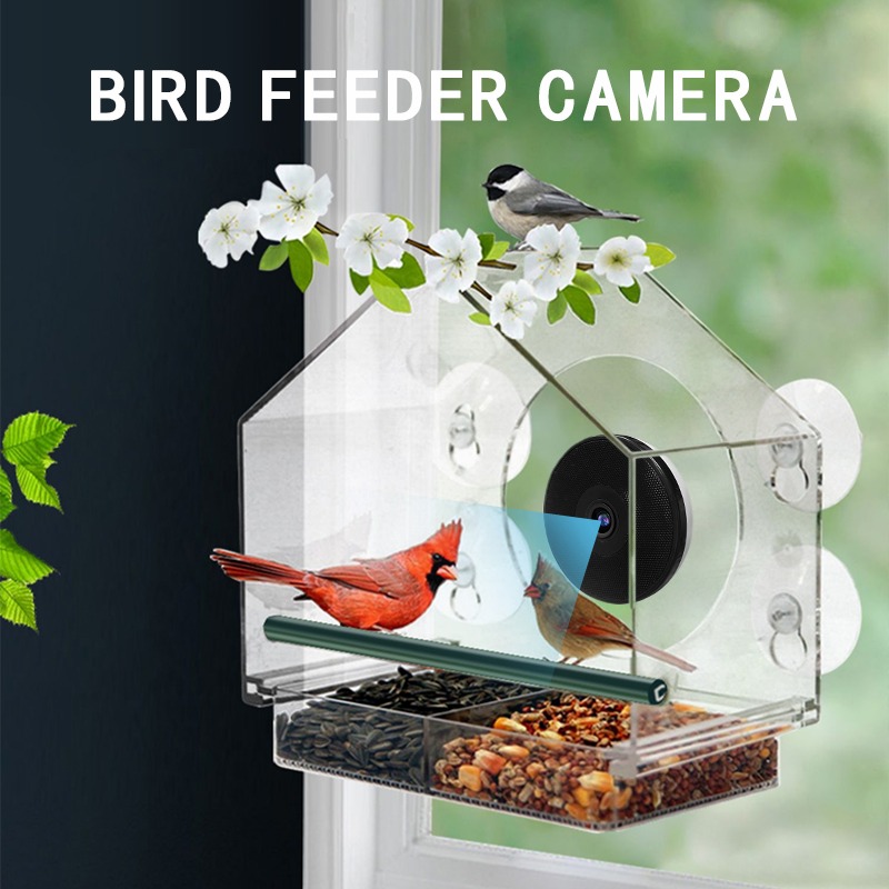AI Bird Recognition Smart Bird - Bird Feeder Camera Wifi Smart Ai recension och pris