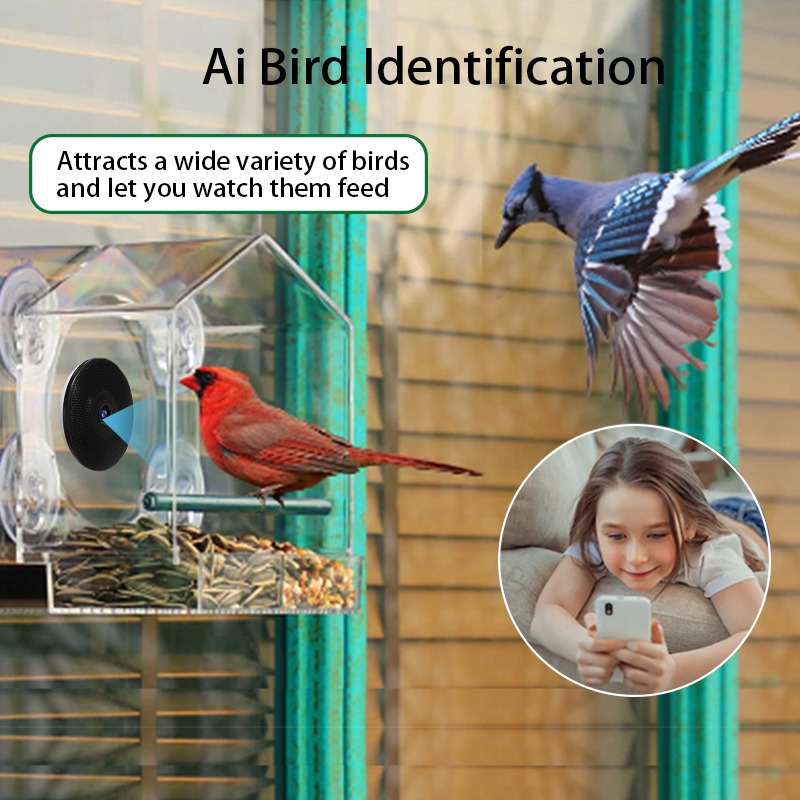 AI Bird Recognition Smart Bird - Bird Feeder Camera Wifi Smart Ai recension och pris